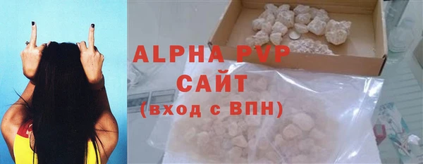 стафф Новозыбков