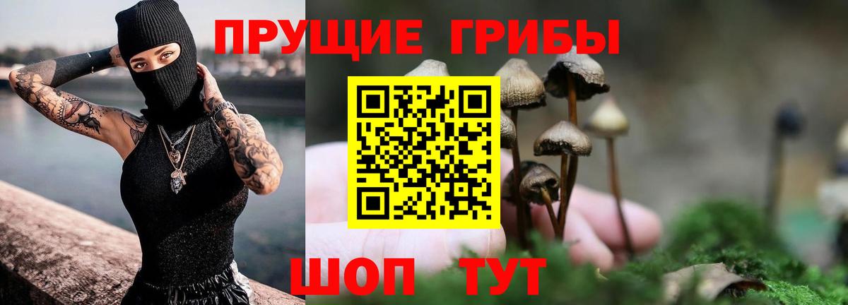 Псилоцибиновые грибы мицелий  Галлюциногенные грибы GOLDEN TEACHER  Великий Новгород  Вход с VPN 